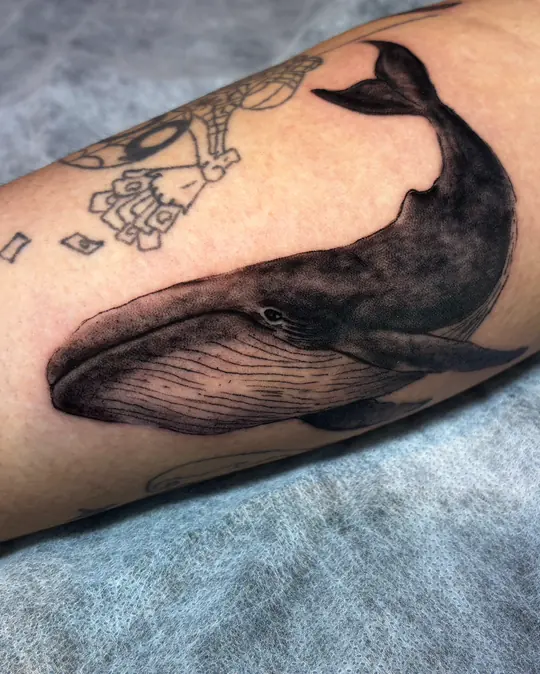 Tatuagem Mini realismo marinho, de Igor Caselato