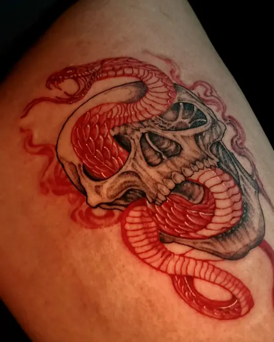 Tatuagem Cobra e caveira, de Kamily Arcanjo