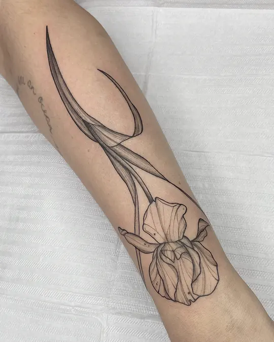 Tatuagem Íris, de Nathália Velasco