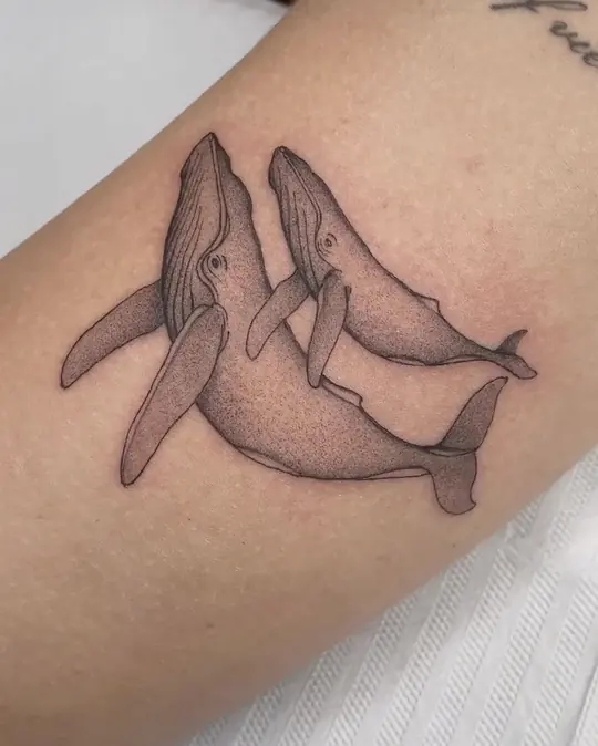 Tatuagem Baleias, de Nathália Velasco
