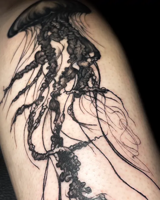 Tatuagem Água-viva, de Richard Fileni